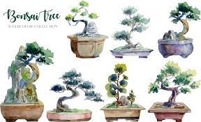 aquarelle bonsai