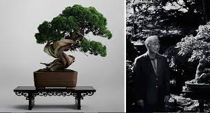 beau bonsai