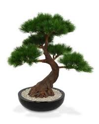 grand bonsai artificiel