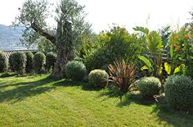 entretien jardin nice