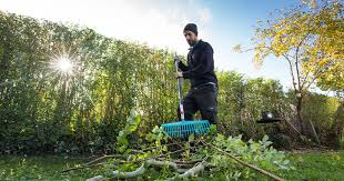 recherche jardinier pour entretien