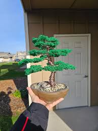 le bonsai pour les nuls