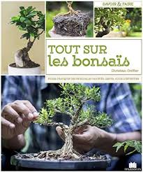 les bonsai pour les nuls