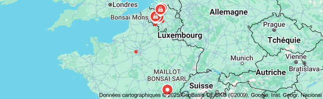 acheter un bonsaï