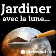 jardinage calendrier