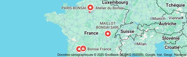 bonsai france