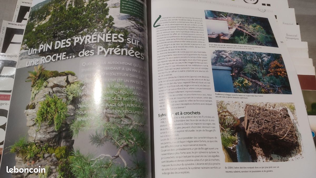 france bonsaï magazine