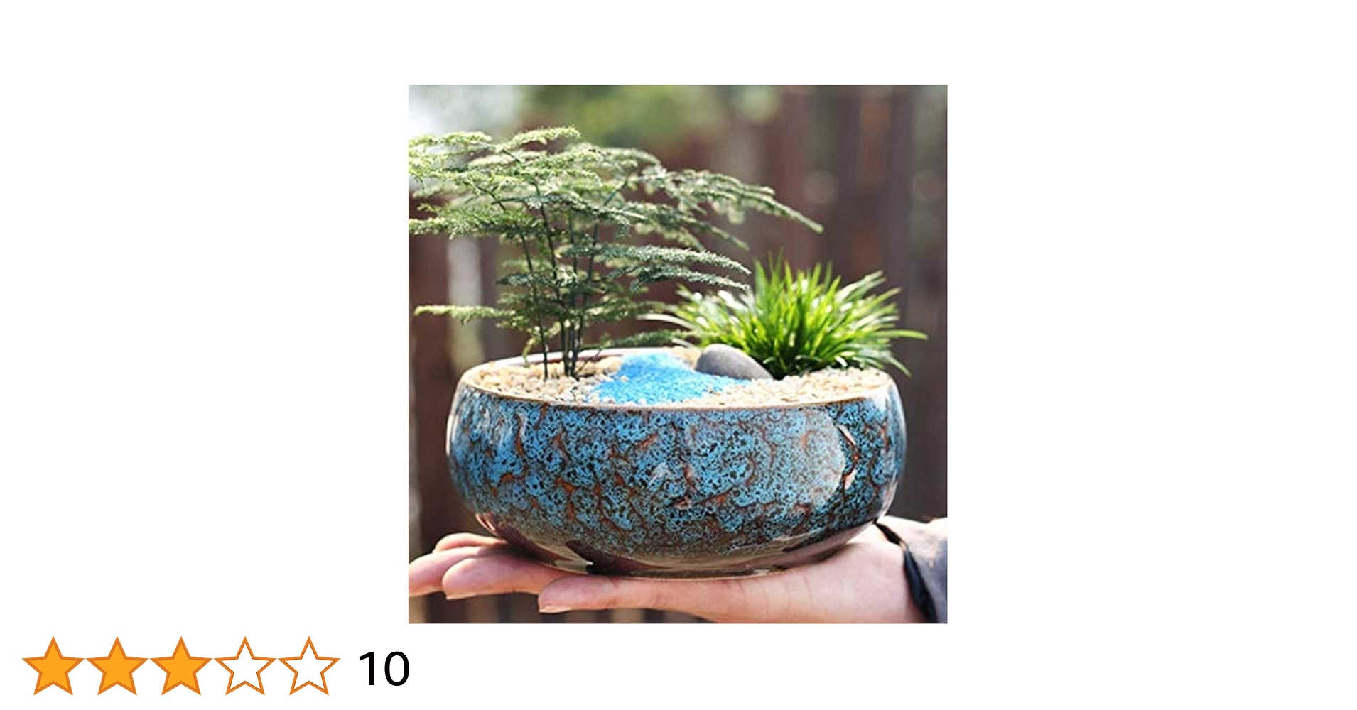 mini pot bonsai