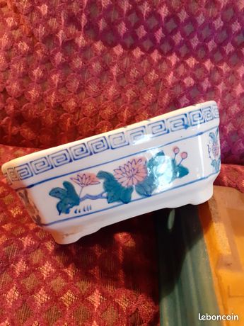 pot a bonsai occasion