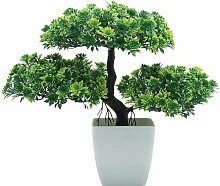 pot a bonsai pas cher