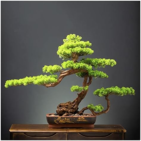 pot bonsai à vendre