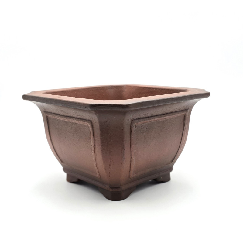 pot bonsai carré