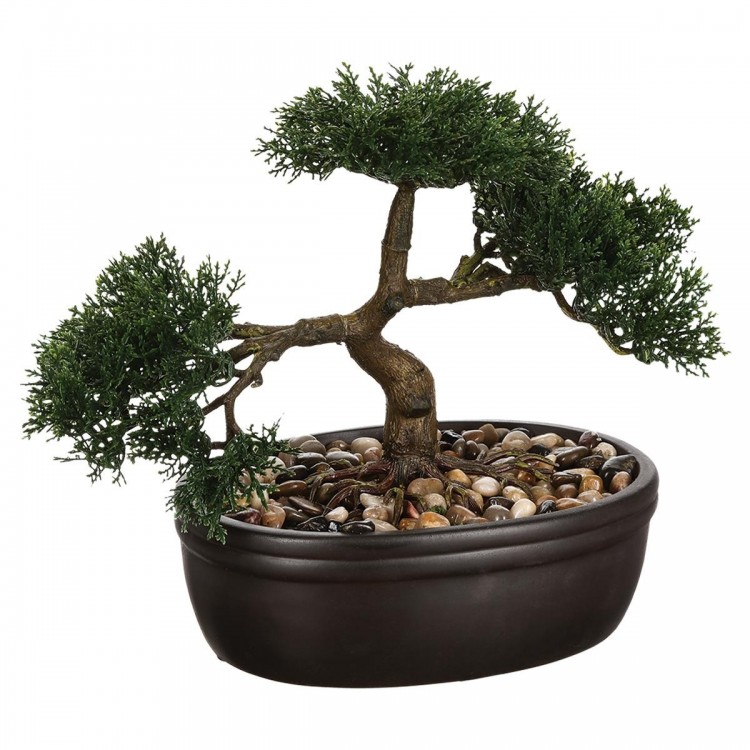 pot bonsai original