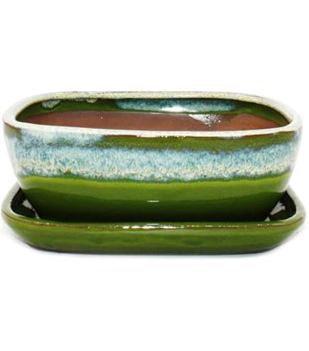 pot bonsai rectangulaire