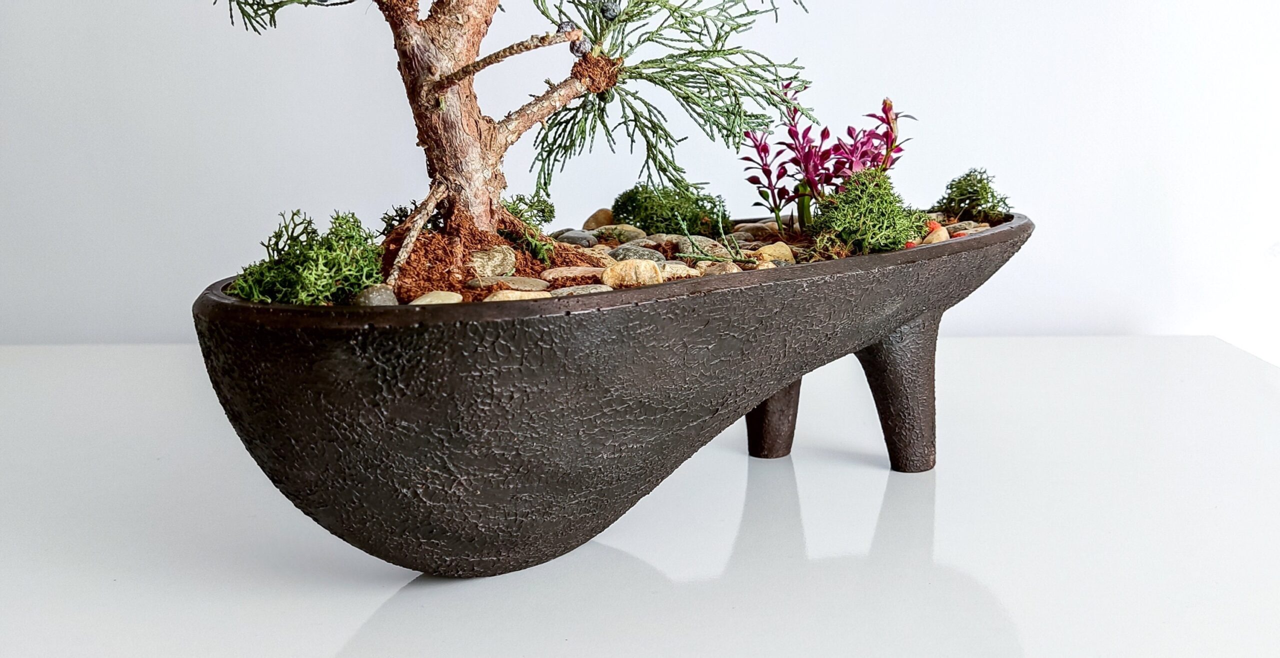 pot coquille bonsai