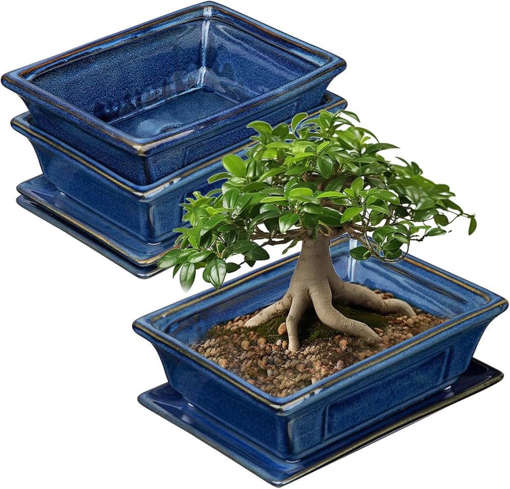 pot japonais pour bonsai