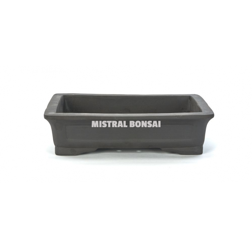 pot plastique pour bonsai
