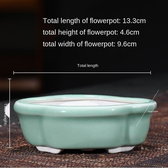 pot pour bonsai exterieur