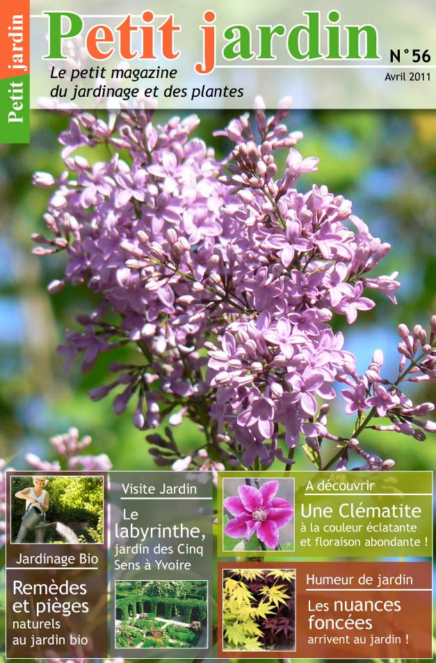 petit jardinage