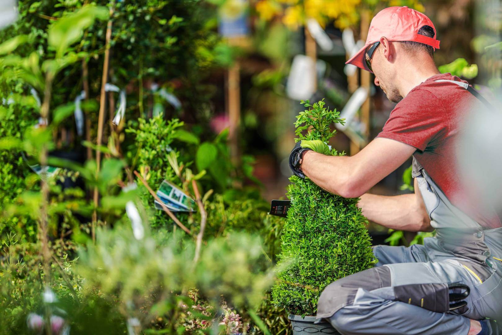 service à la personne jardinage