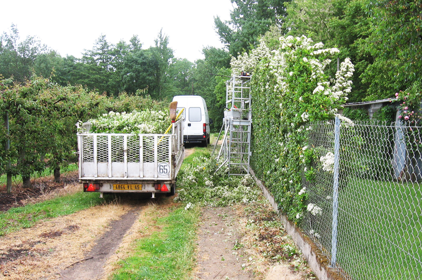 service à la personne jardinage