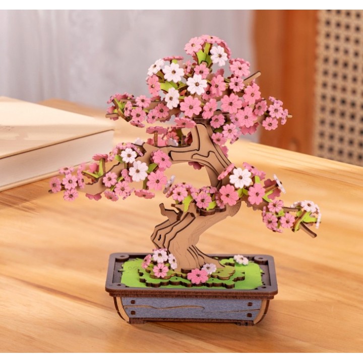 cerisier du japon bonsai achat