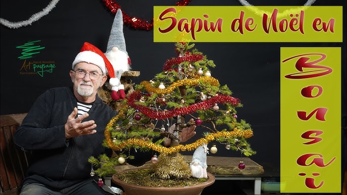 bonsai noel