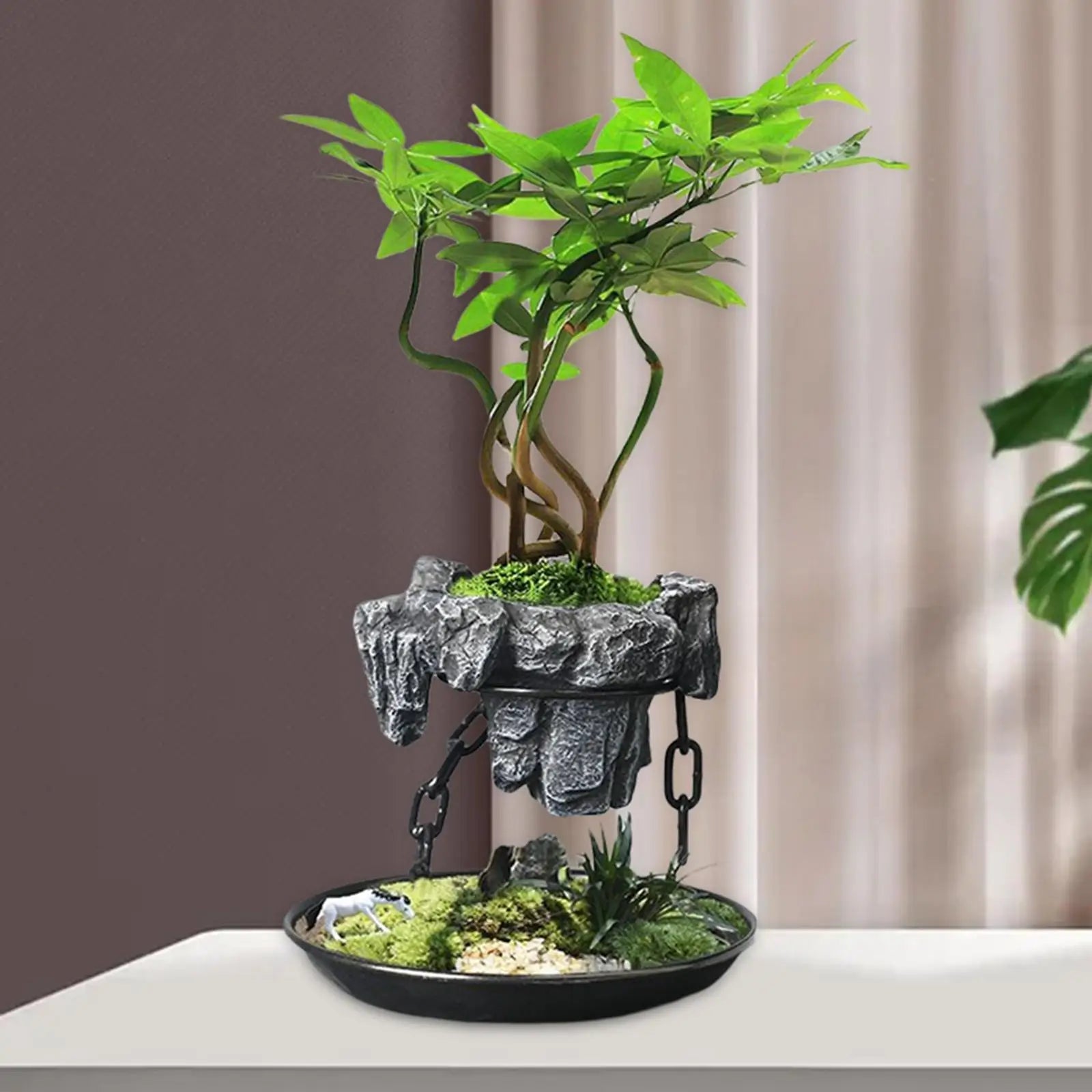 hydro bonsai