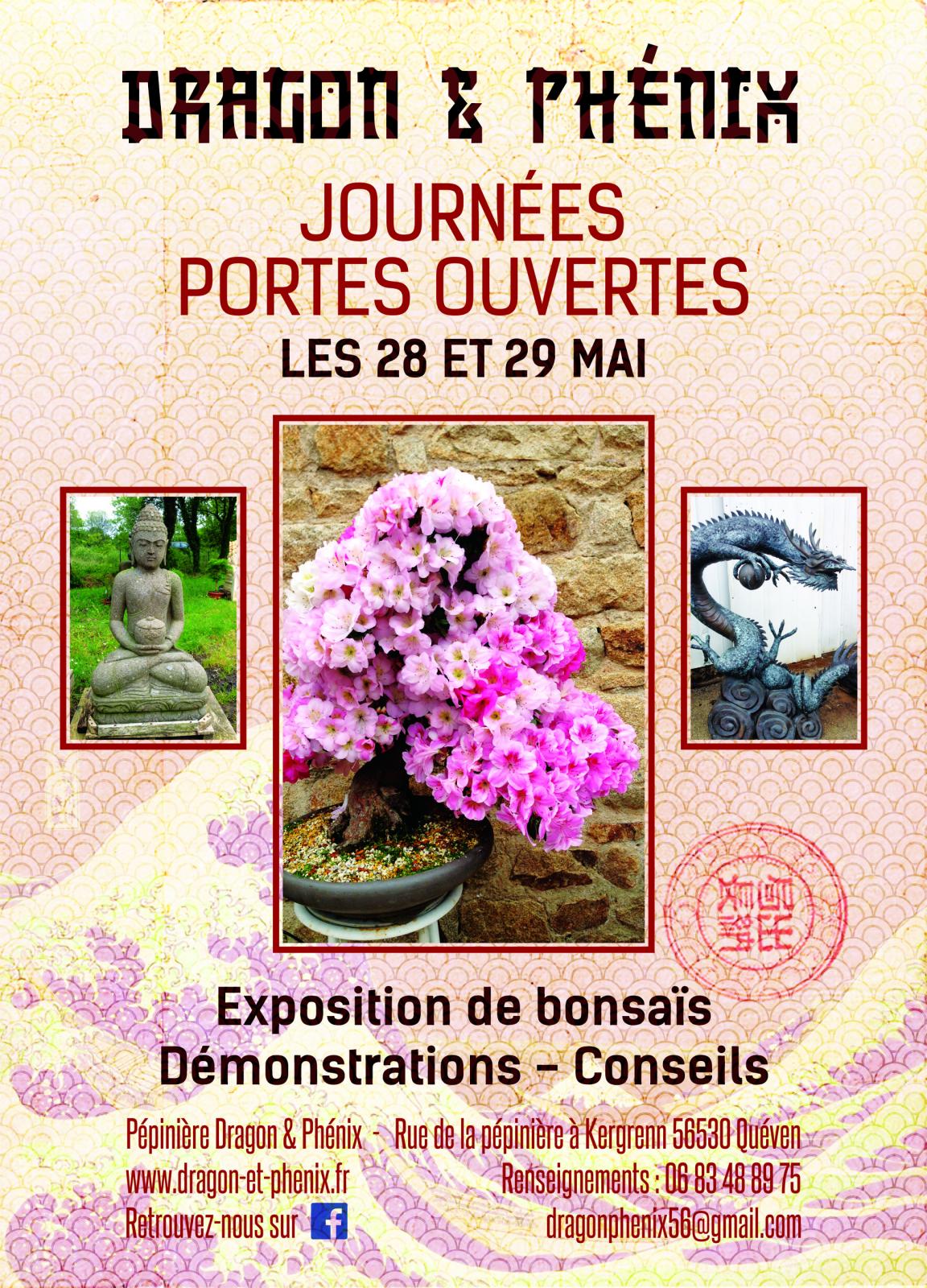 dragon et phénix bonsai