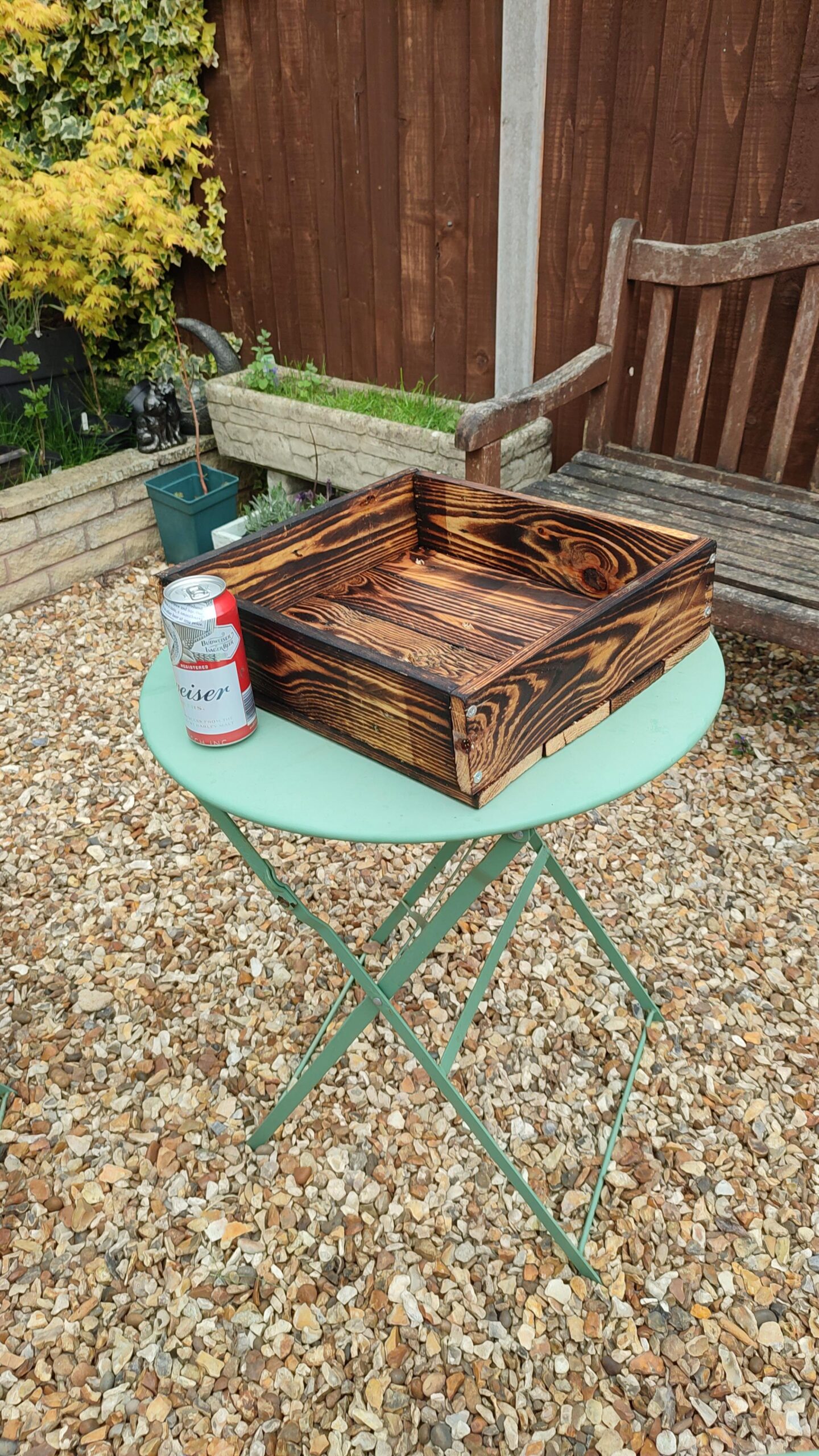 bonsai en pot