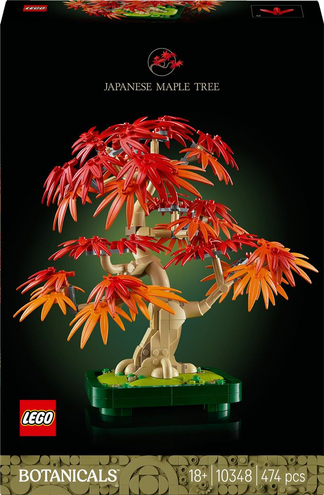 bonsai erable du japon rouge