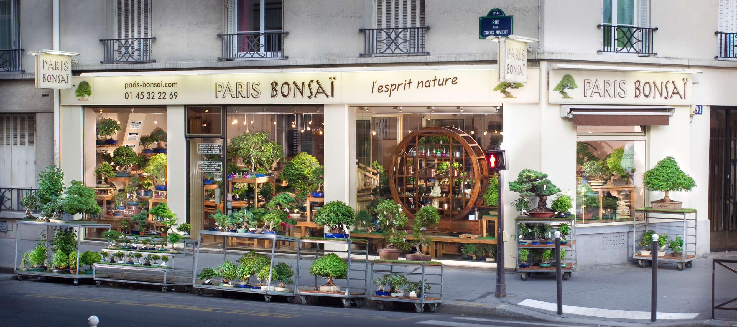 bonsai faux poivrier entretien