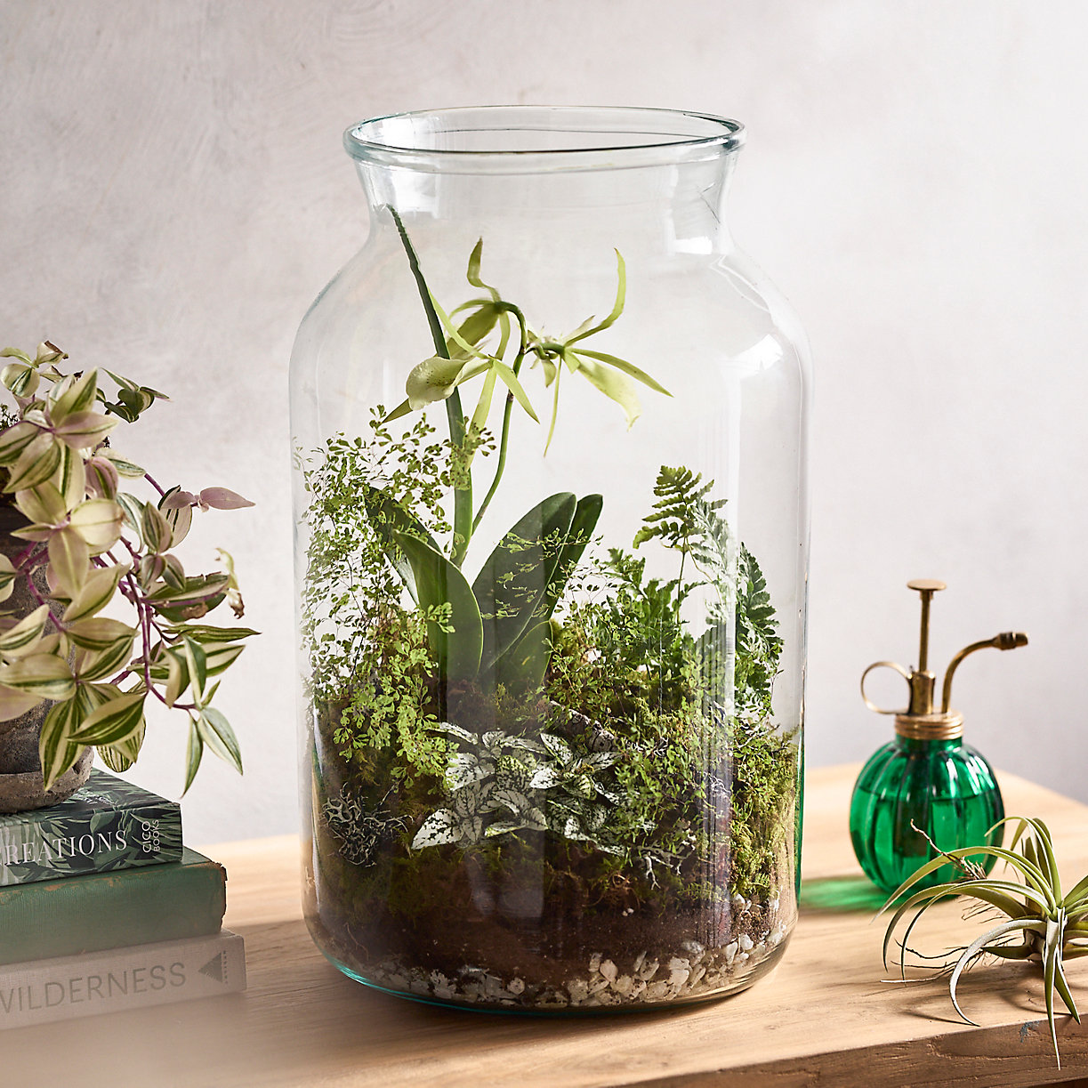 bonsai dans un bocal