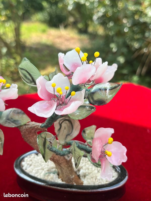 bonsai fleurs roses